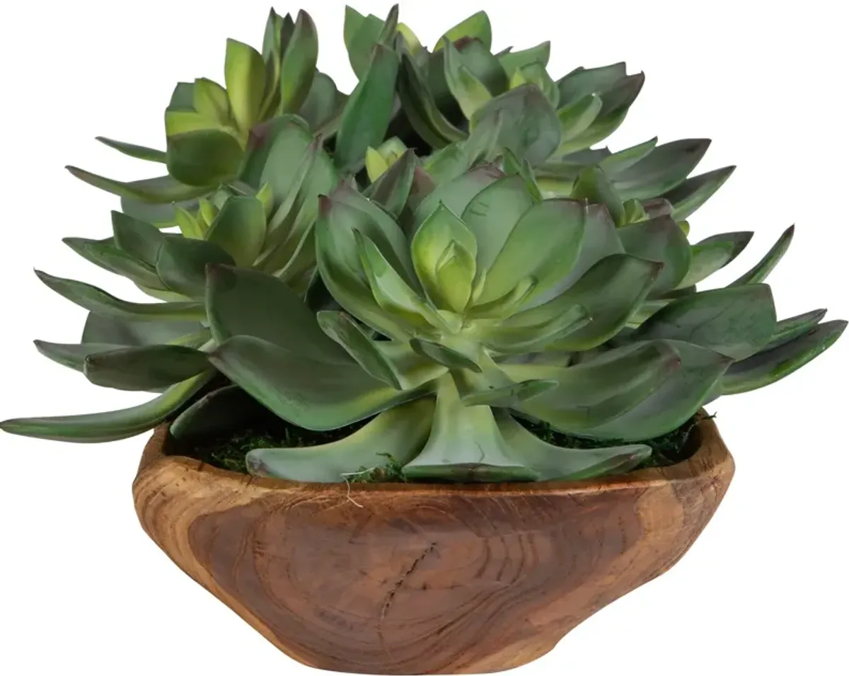 Moab Faux Succulent Centerpiece - Green/Brown