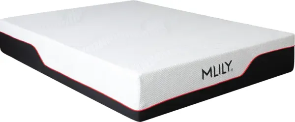 Gel Bamboo Charcoal AeroFusion Foam 12" California King Mattress in a Box - Multicolor
