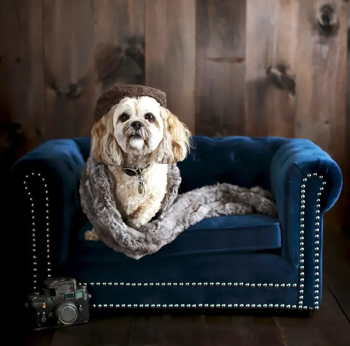 Samson Pet Bed - Navy