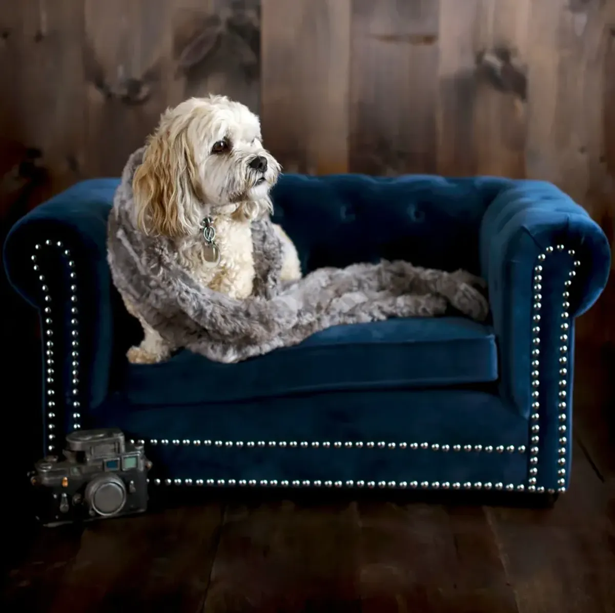 Samson Pet Bed - Navy