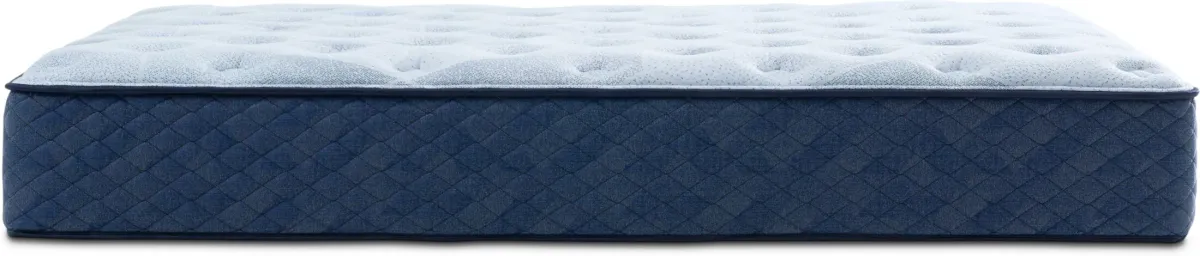 Dream Horizon Firm Queen Mattress