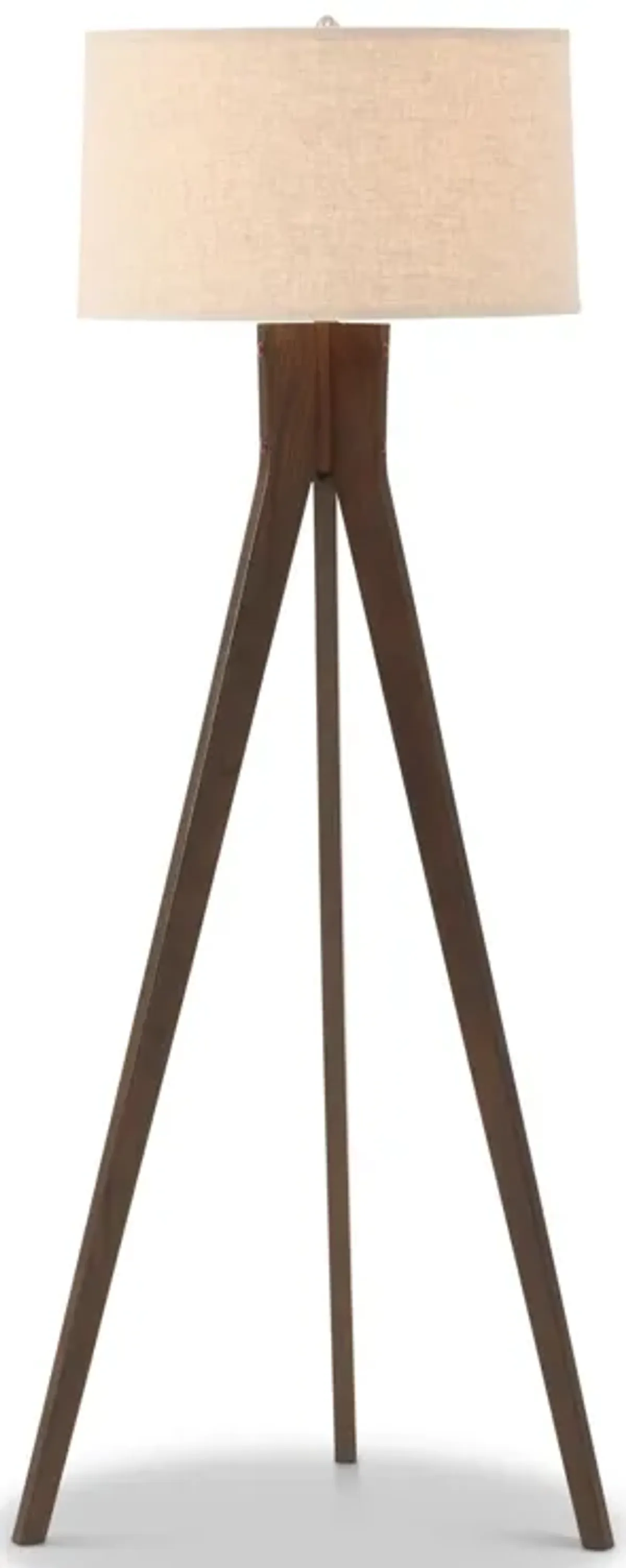 Shayan 58" Floor Lamp