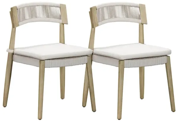 Belmar Set of 2 Outdoor Dining Chairs