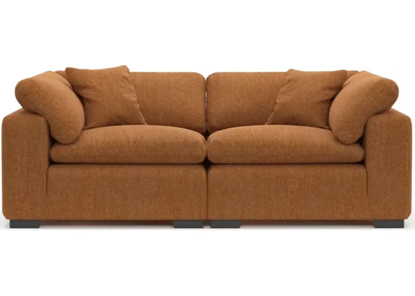 Plush Feathered Comfort 2-Piece Sofa - Contessa Ginger