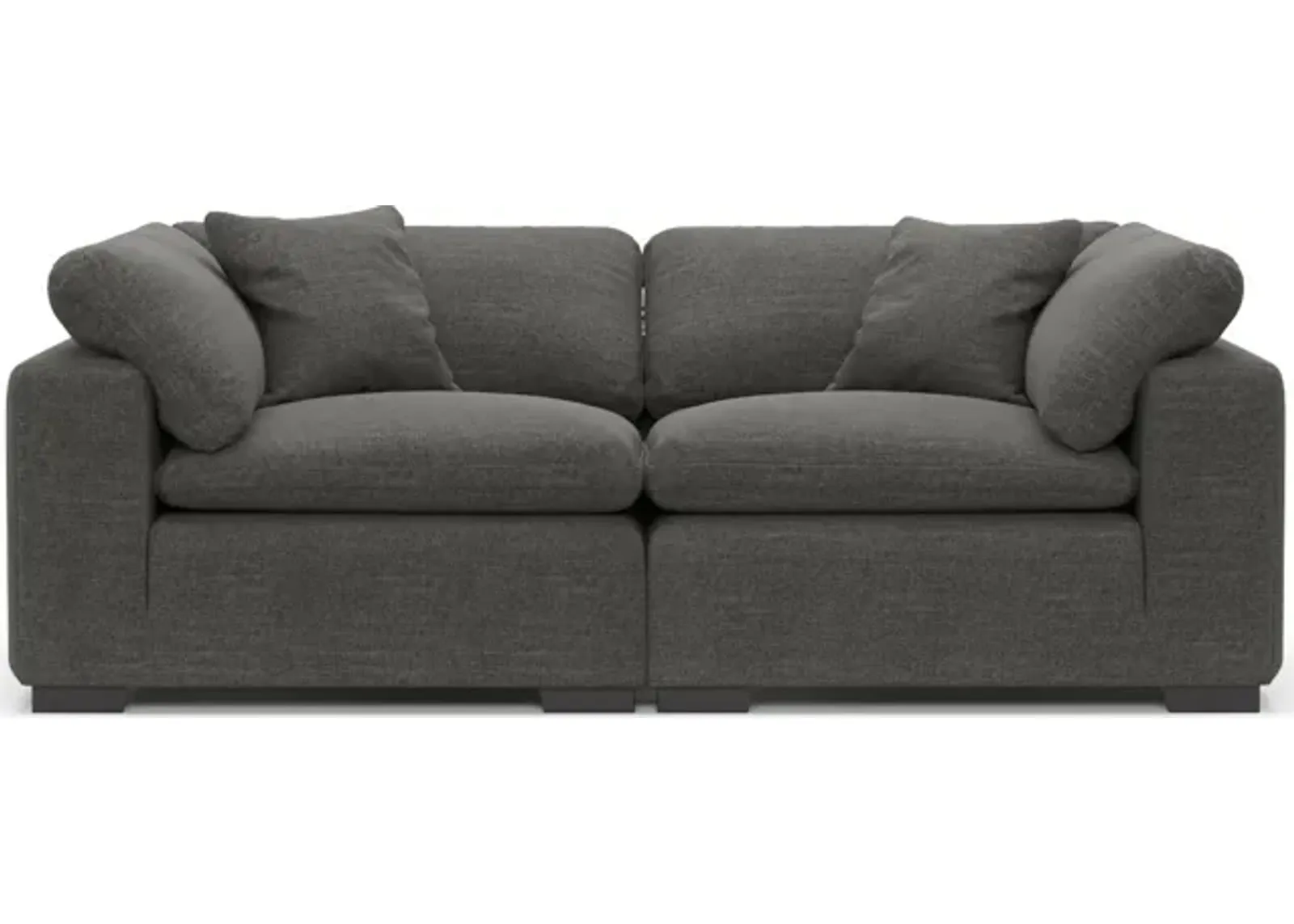 Plush Feathered Comfort 2-Piece Sofa - Curious Charcoal