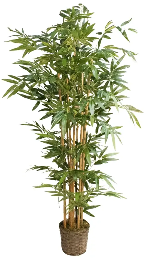 Tall Fake Bamboo Tree in Wicker Planter 72" | By Vintage Home
