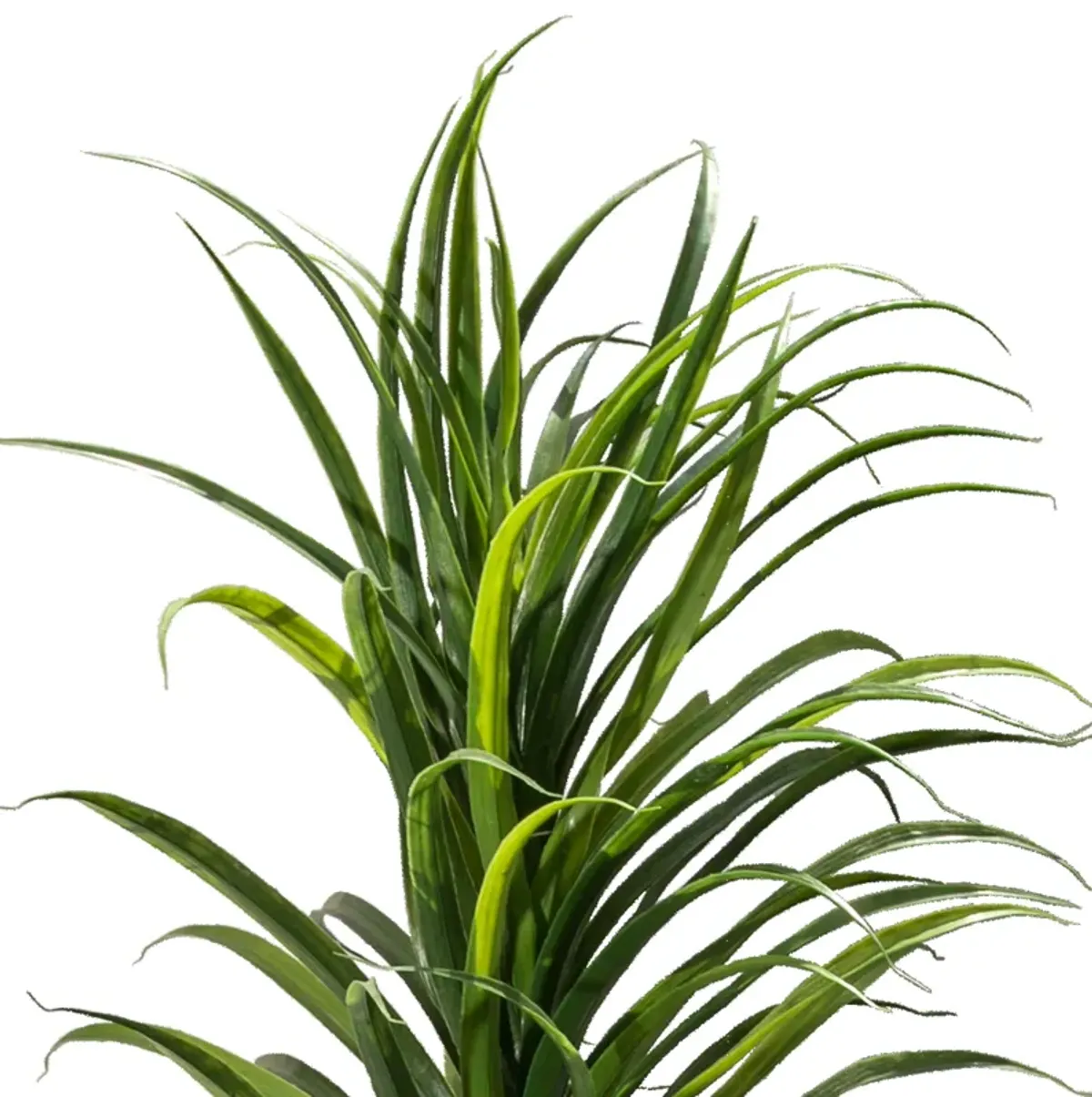 2 Pack Vintage Home 56" Tall Real touch Grass Plant with Fiber Stone Pot -  Lifelike Plants, High Quality, Indoor & Outdoor Décor, No Maintenance Required