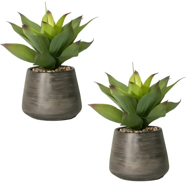 (2 Pack) 16" Tall Real Touch Realistic Agave Plant in Cement Vase -  Lifelike Plants, High Quality, Indoor & Outdoor Décor