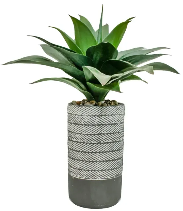 Vintage Home 19" Artificial Agave with Vintage Real touch in Cement pot