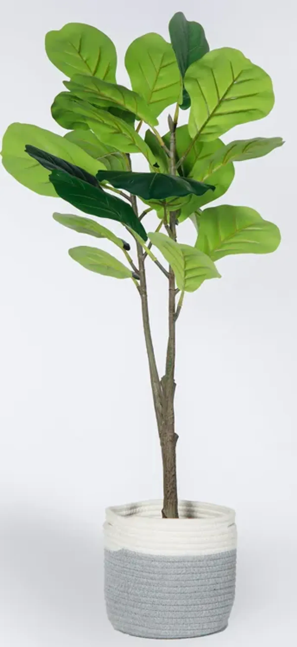 Faux Fiddle-Leaf Fig Tree in rope basket
