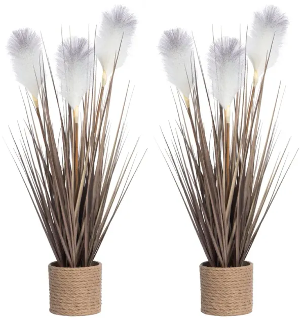 Artificial Reed Grass| White | 28” tall | 2 pack | Vintage Home