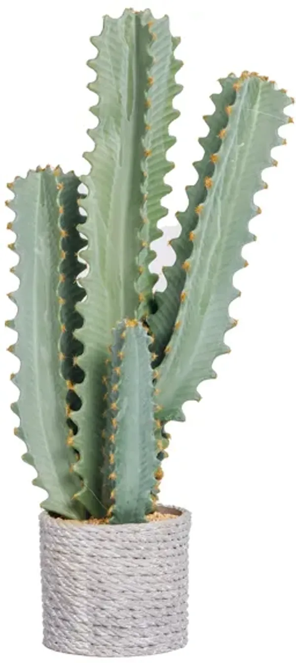 20" Fake Artificial Cactus | Fun Home Decor by Vintage Home