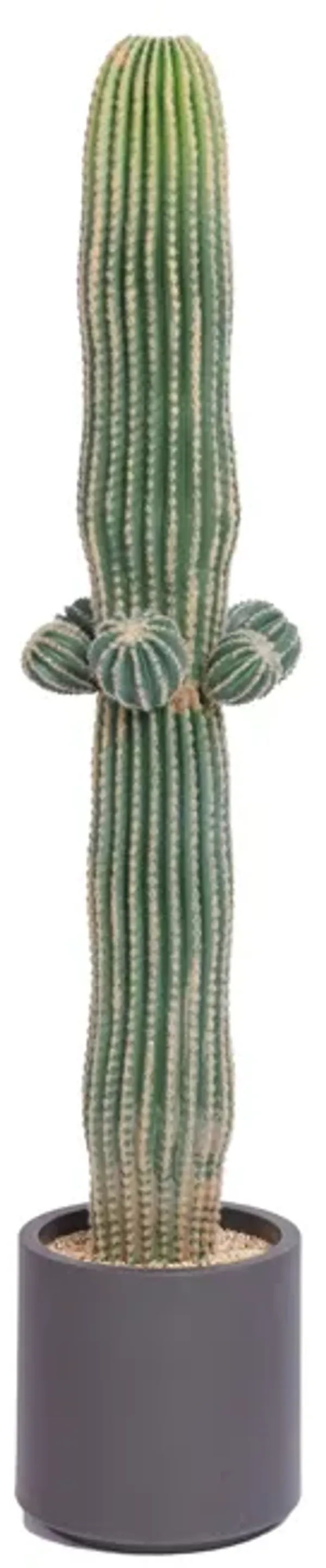 54" Artificial Faux Cactus in Stylish Planter - Vintage Home Decor Accent