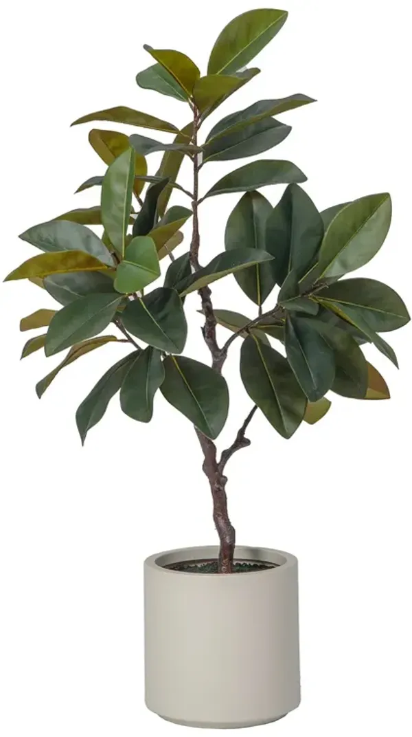 51" Artificial Magnolia tree, luxury Lifelike real touch Magnolia Tree perfect for indoor and outdoor décor