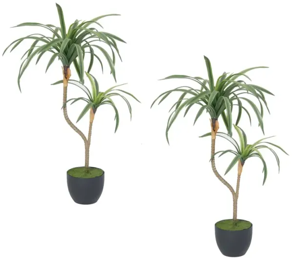 (2 Pack) 28" Faux Real Touch Dragon Tree | Indoor/Outdoor Use