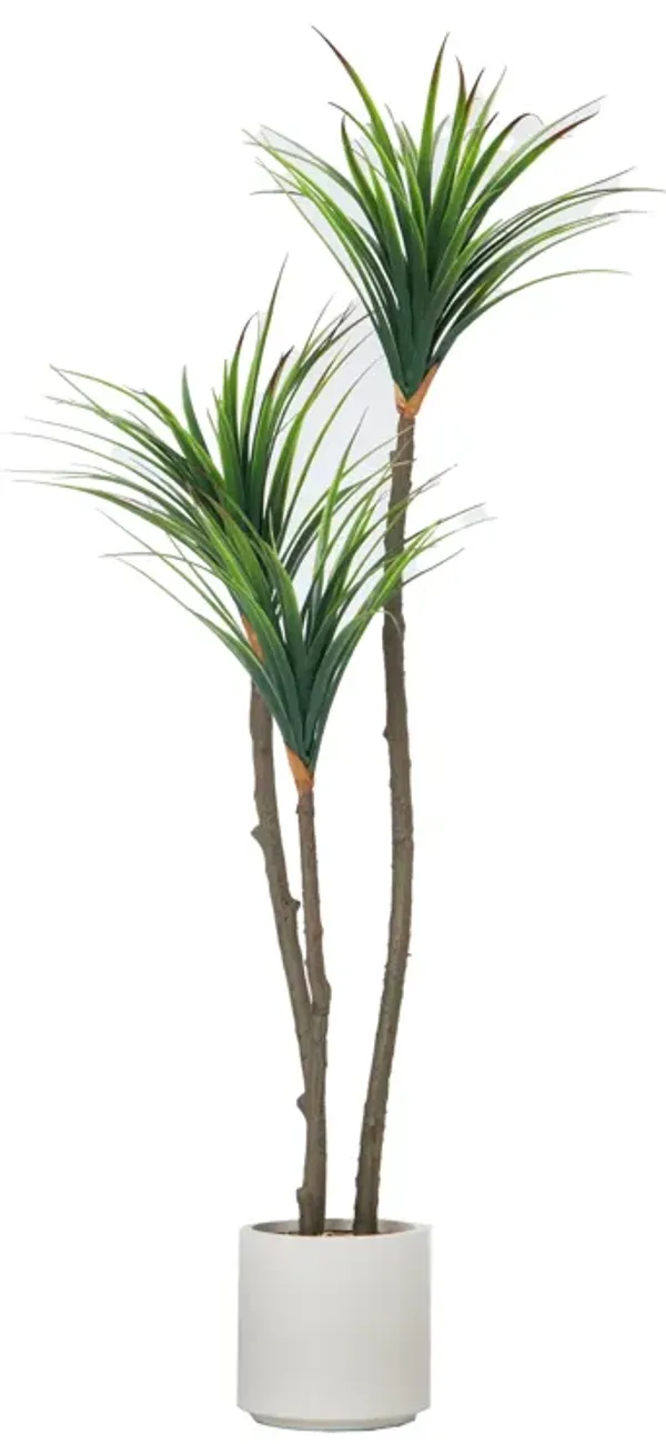 59" Artificial Faux Dragon Tree in a Beige Modern Planter