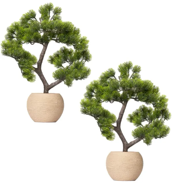2-pack 14” Faux Bonsai Trees with real touch leaves, in a modern beige ceramic vase