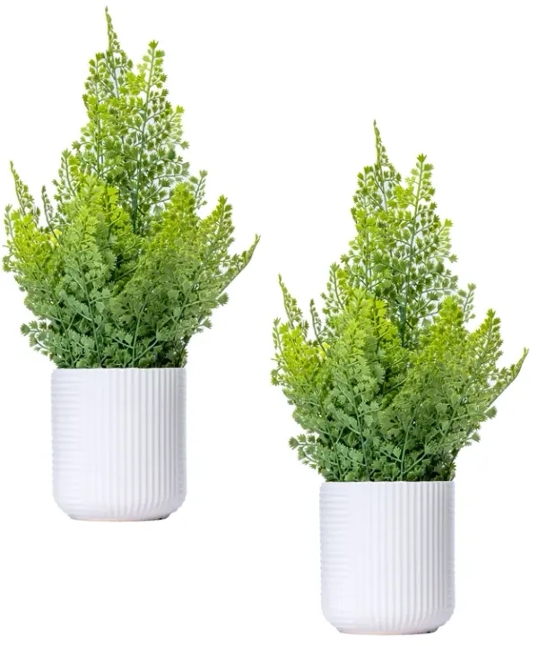 2-Pack of 20" Faux Ferns with Real-Touch Leaves in White Ceramic Planters