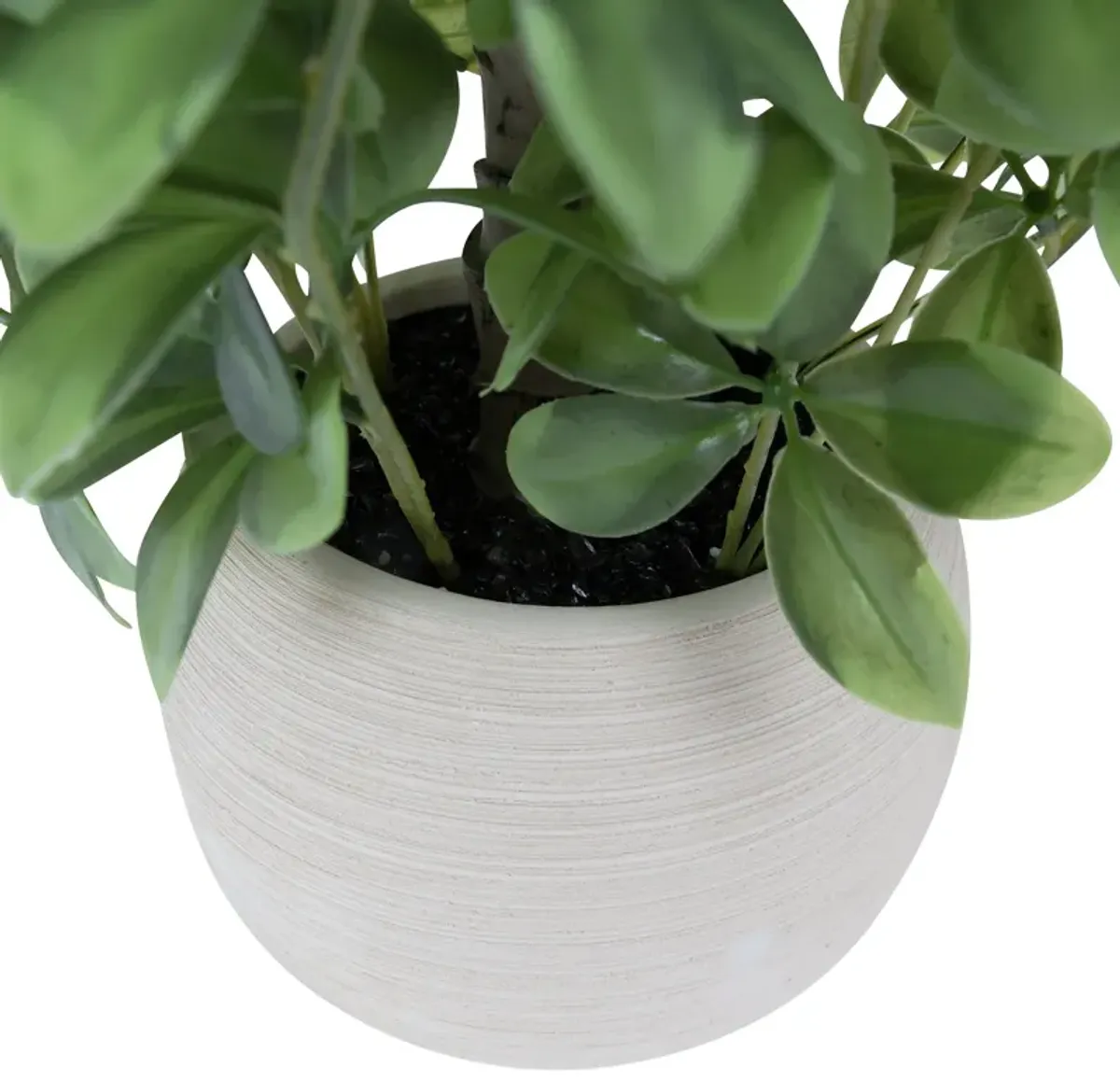 2-pack 18" Faux Olive Trees in Round Beige Ceramic Planters