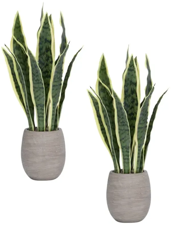 2-Pack 18" Faux Snake plant in White Ceramic Planters