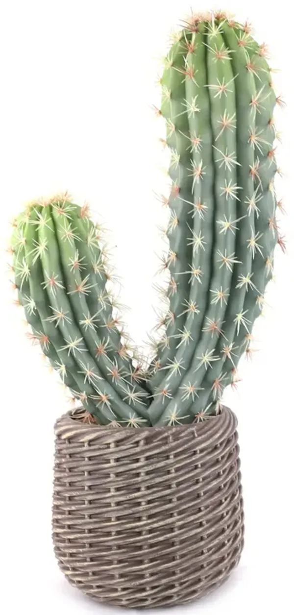 29.5”H by 10"W Artificial Cactus in a Woven like Basket – Realistic Faux Indoor Plant for Home, Office, or Patio Décor