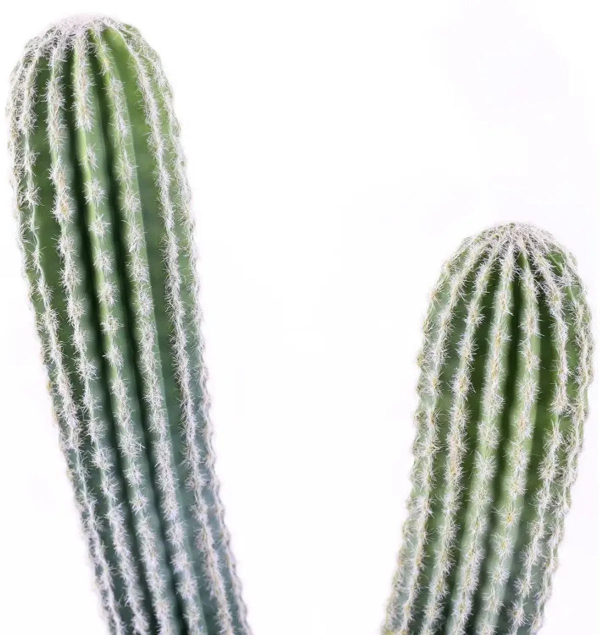 2-Pack 25” Artificial Column Cactus Plants in Woven like Baskets – Realistic Faux Indoor Décor for Home, Office, or Patio