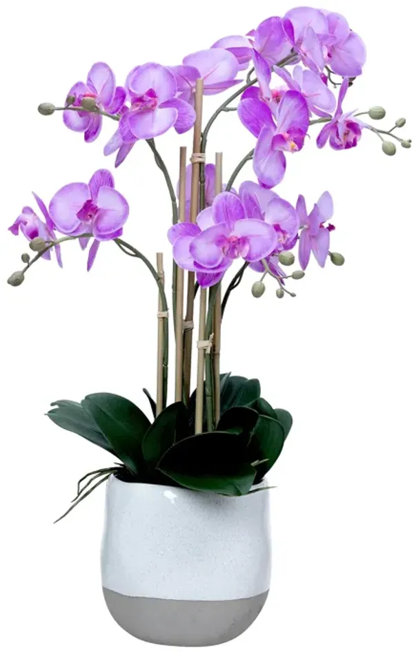 27.5" Artificial Faux Purple Orchid Arrangement in Planter | Real Touch Purple Moth Phalaenopsis Orchids by Fiori Sempre