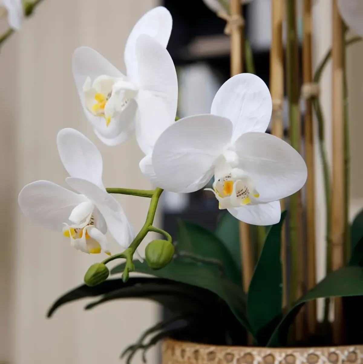 29" White Orchid Arrangement in a Tan Ceramic Planter