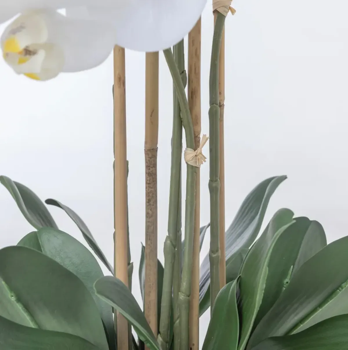 43" White Orchid Arrangement in a Tall Black Planter