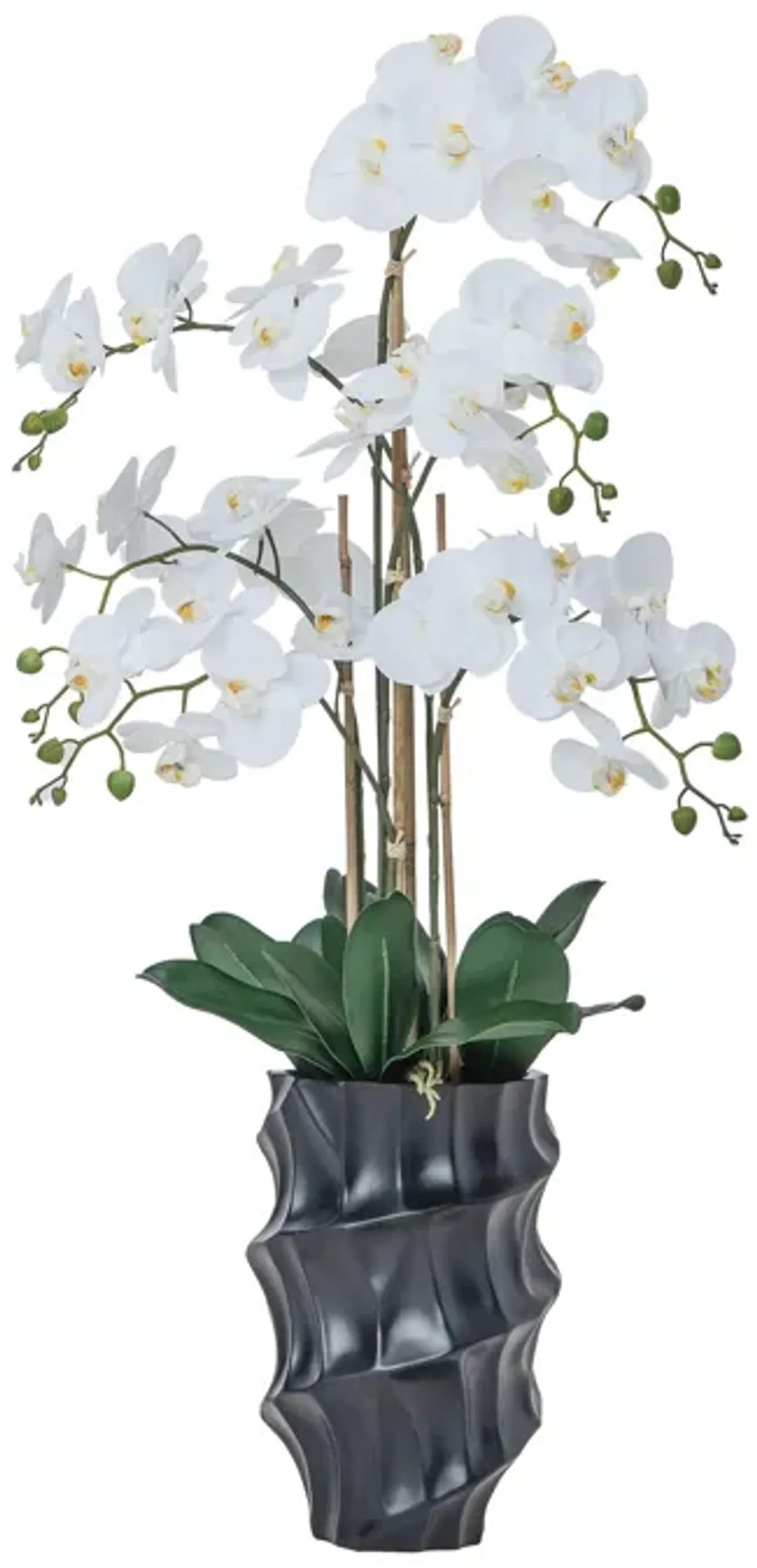 43" White Orchid Arrangement in a Tall Black Planter