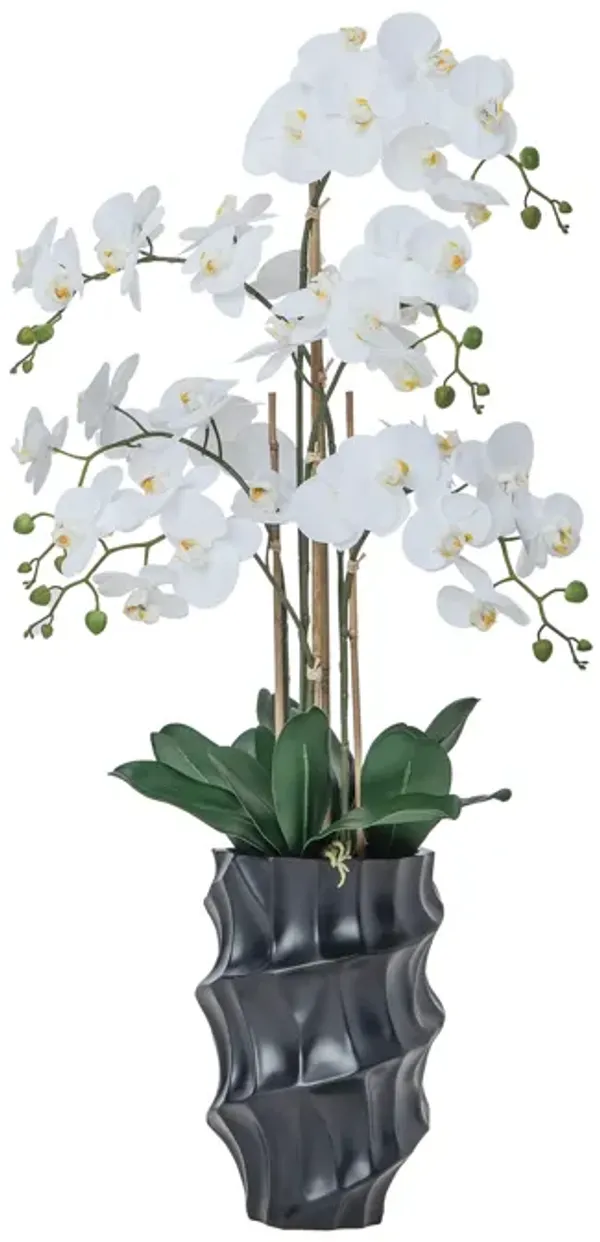 43" White Orchid Arrangement in a Tall Black Planter | Real Touch White Moth Orchids in a Black Planter by Fiori Sempre
