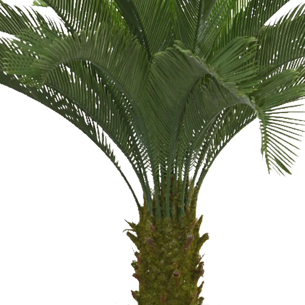 Tall Artificial Faux Real Touch Cycas Palm Tree | Indoor/Outdoor