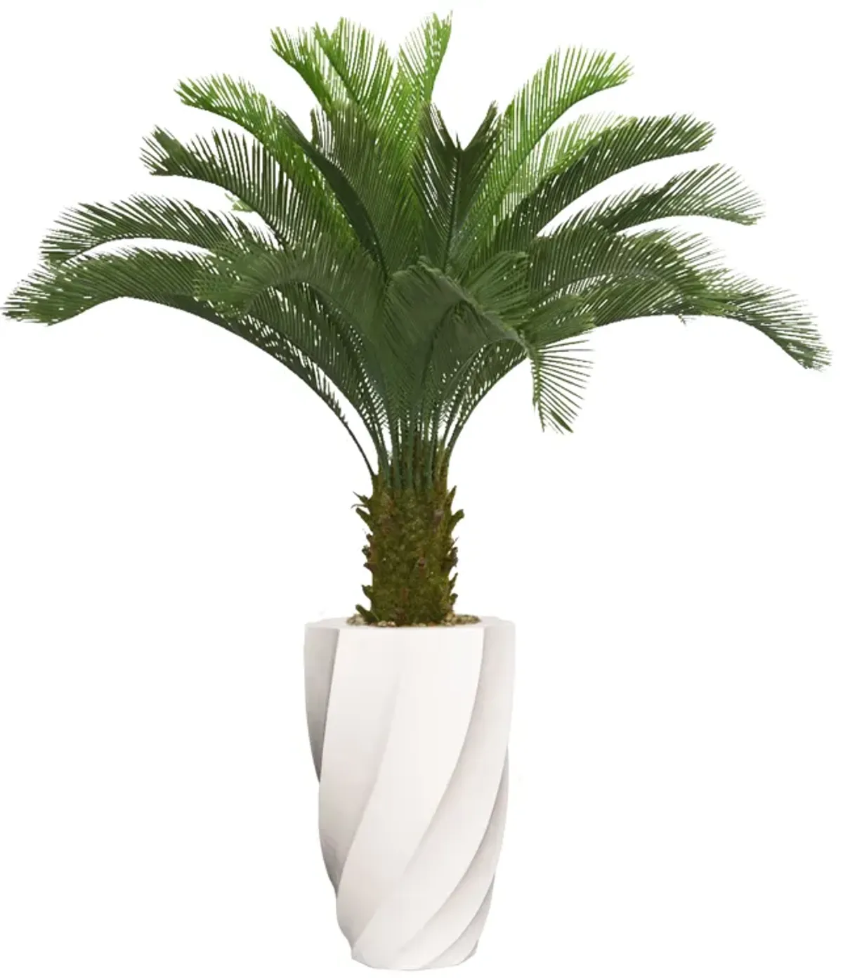 Tall Artificial Faux Real Touch Cycas Palm Tree | Indoor/Outdoor