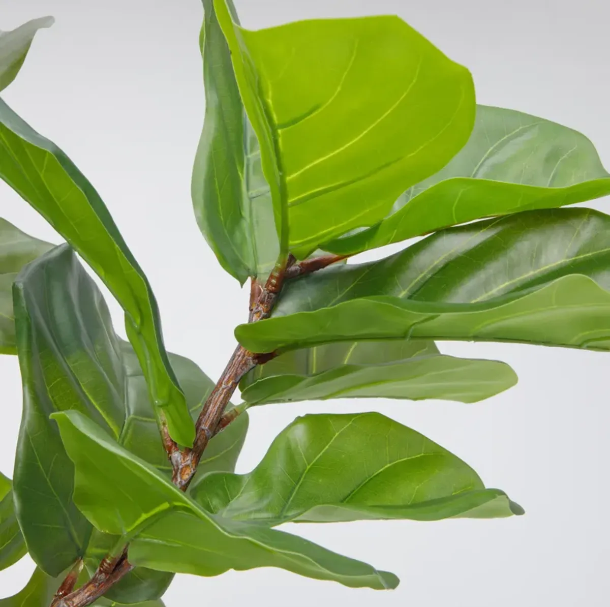 59" Vintage Real Touch Fig Tree with large luxurious leaves - Perfect for indoor and outdoor use