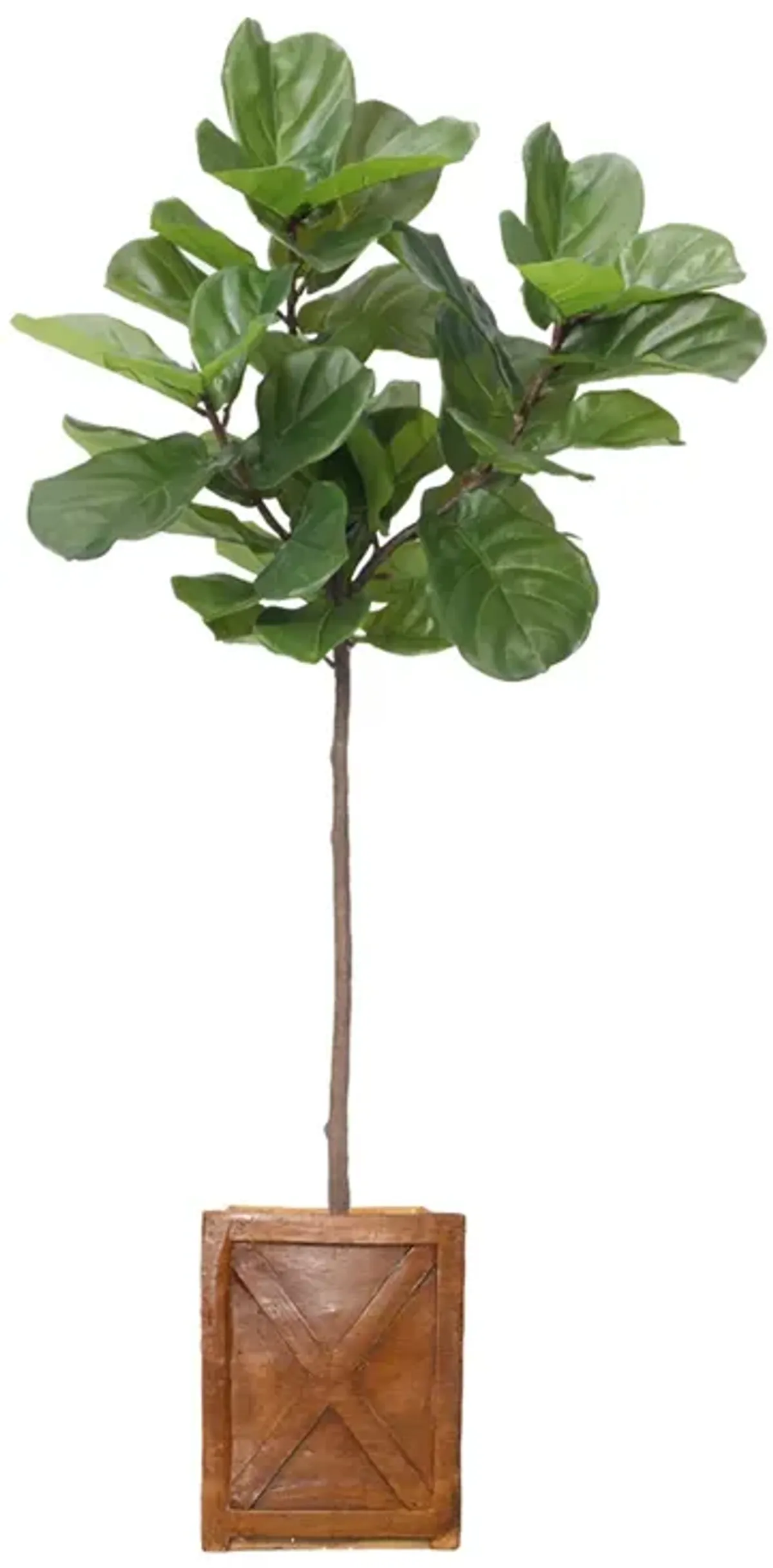 59" Vintage Real Touch Fig Tree with large luxurious leaves - Perfect for indoor and outdoor use