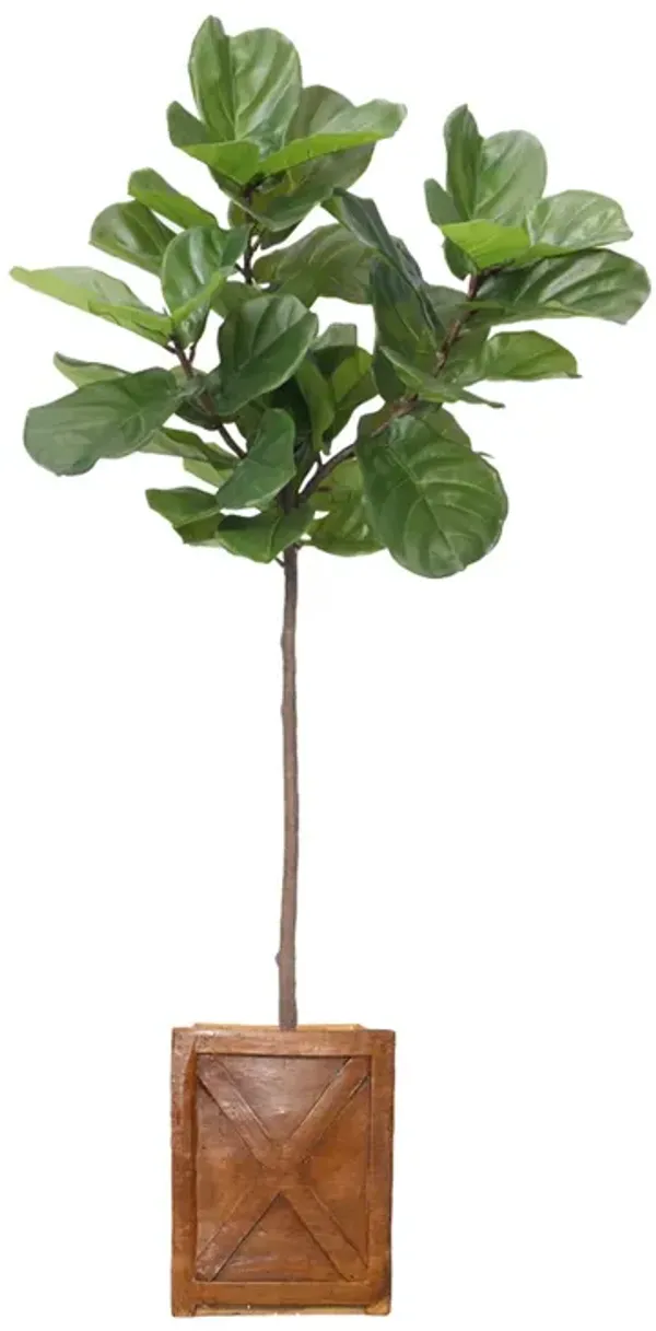 59" Vintage Real Touch Fig Tree with large luxurious leaves - Perfect for indoor and outdoor use