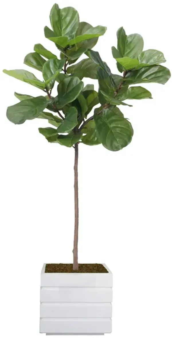 59" Vintage Real Touch Fig Tree with large luxurious leaves - Perfect for indoor and outdoor use
