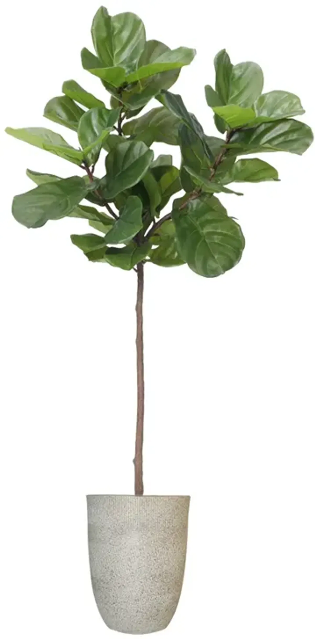 59" Vintage Real Touch Fig Tree with large luxurious leaves - Perfect for indoor and outdoor use