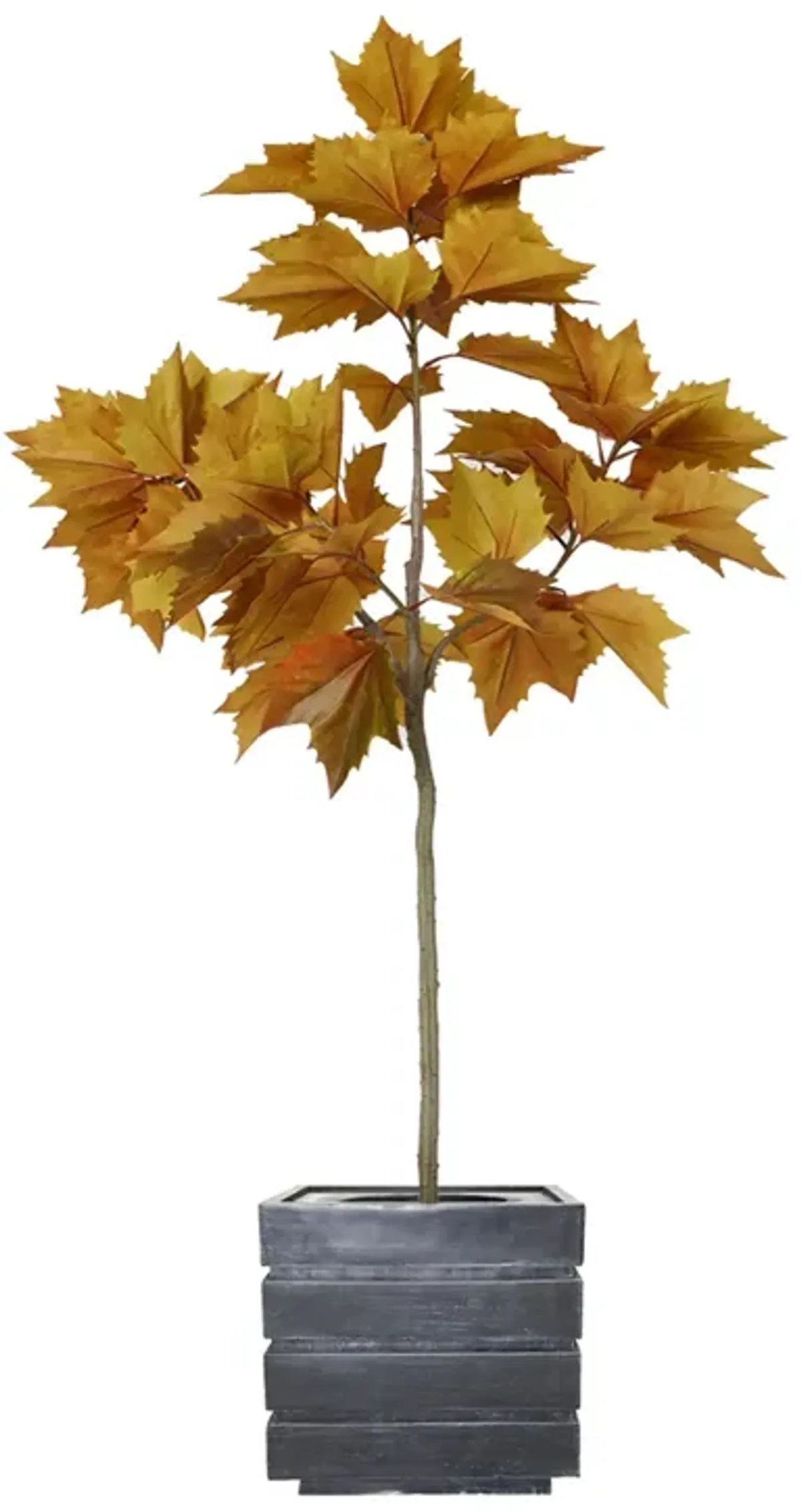 63" Vintage Real Touch Maple leaf tree with large beautiful leaves- Perfect for indoor and outdoor décor