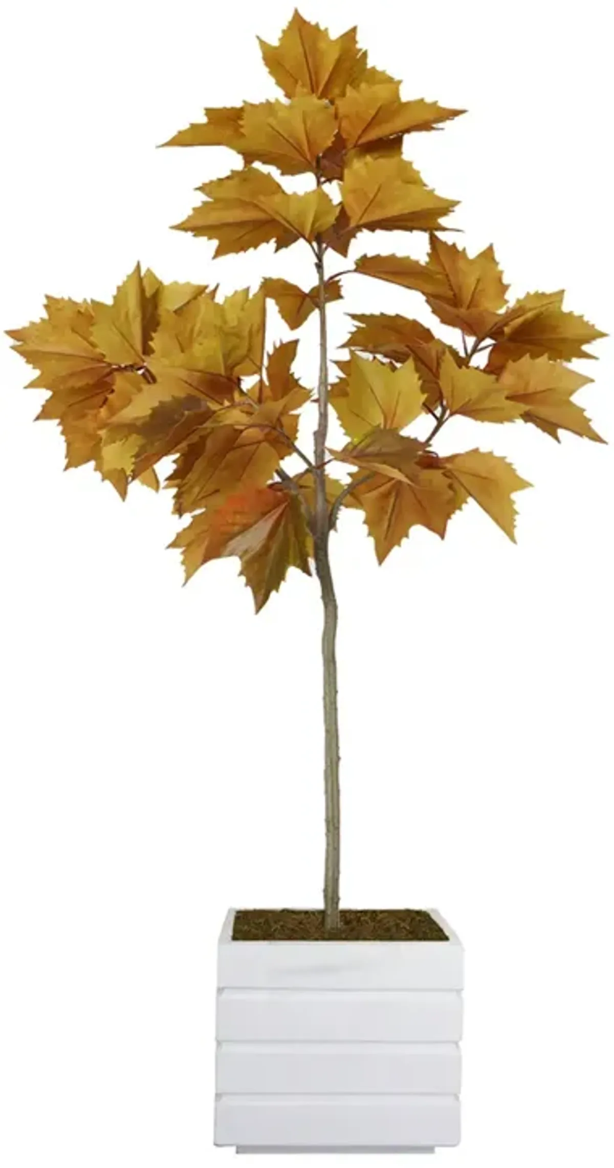 63" Vintage Real Touch Maple leaf tree with large beautiful leaves- Perfect for indoor and outdoor décor