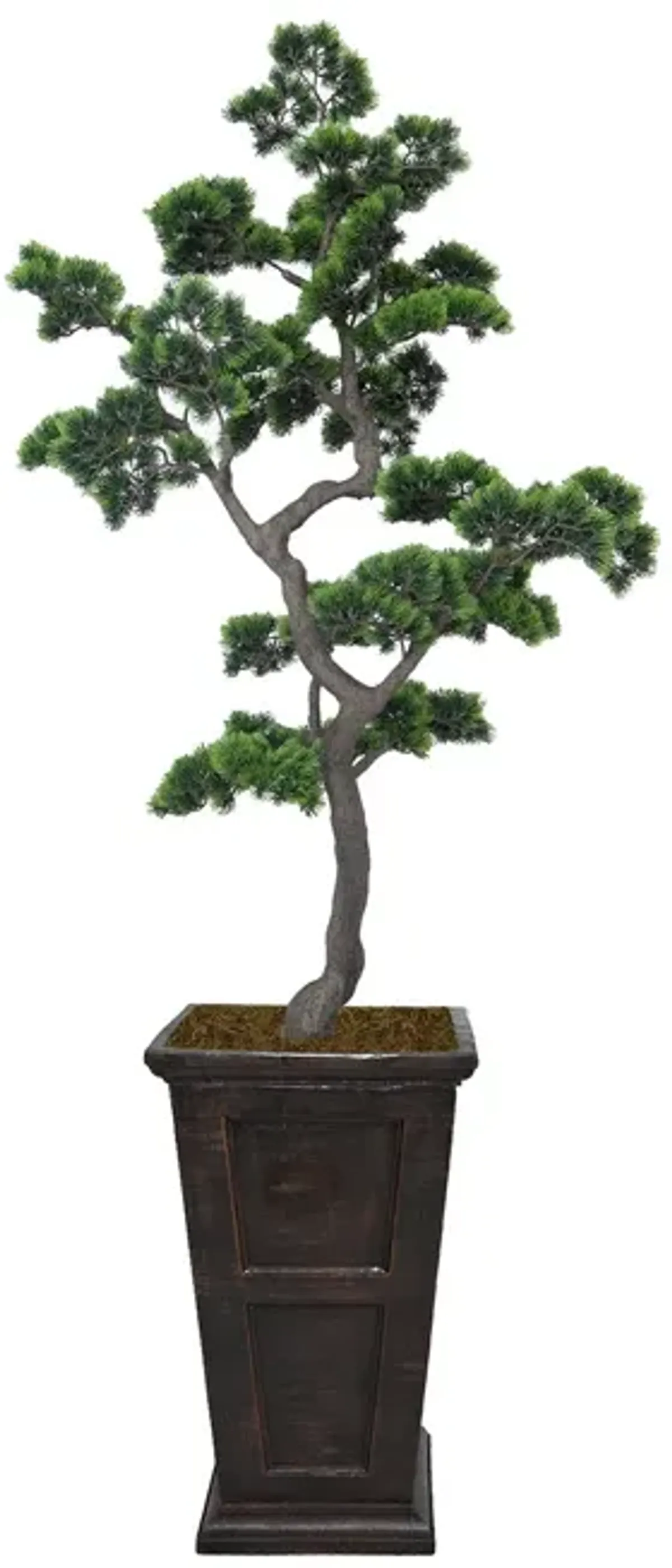55" Artificial Faux Bonsai Tree | Vintage Home