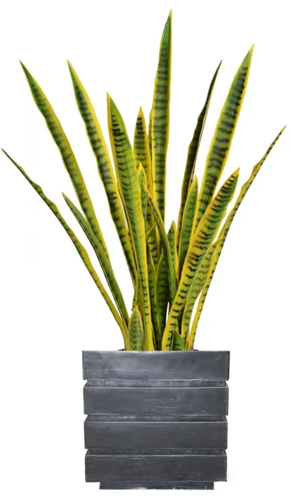 35" Artificial Faux Real Touch Snake Plant (Sansevieria) | Indoor/ Outdoor Use