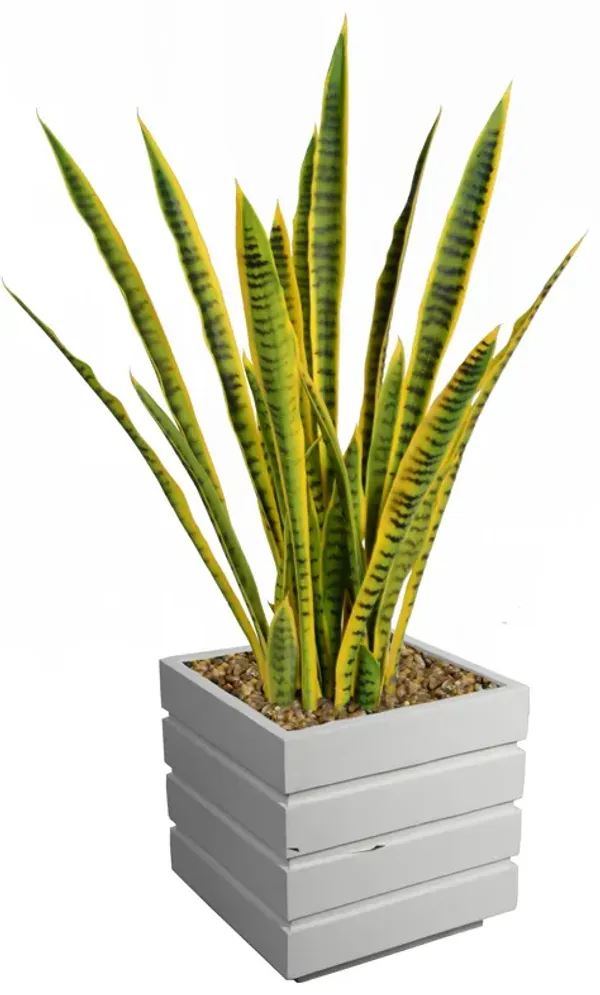 35" Artificial Faux Real Touch Snake Plant (Sansevieria) | Indoor/ Outdoor Use