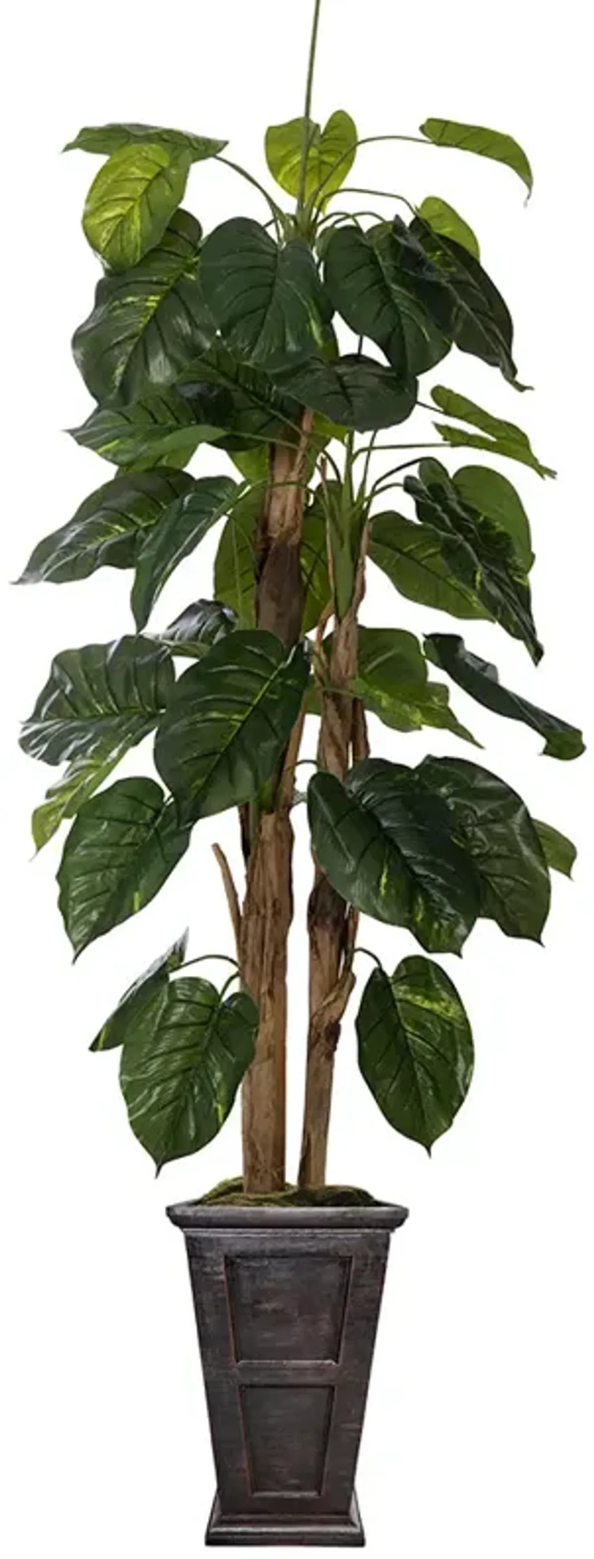 66" Tall Artificial Faux Scindapsus Aureus (Devil’s Ivy) with Eco-Paper Planter
