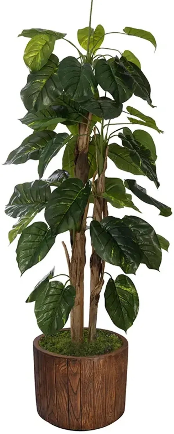 66" Tall Artificial Faux Scindapsus Aureus (Devil’s Ivy) with Eco-Paper Planter