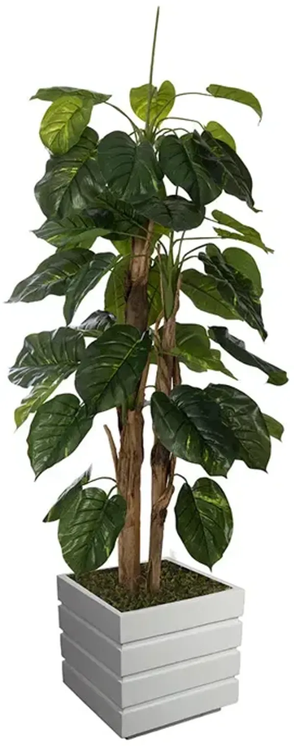 66" Tall Artificial Faux Scindapsus Aureus (Devil’s Ivy) with Eco-Paper Planter