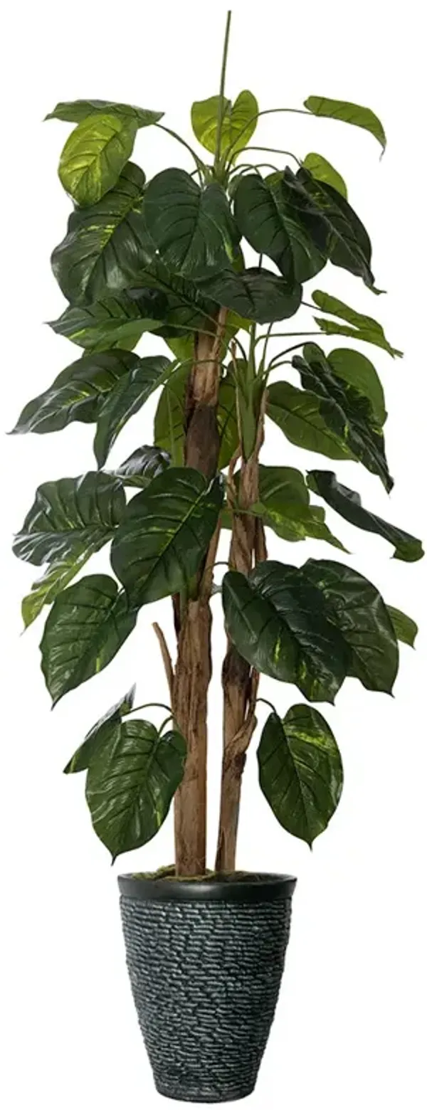 66" Tall Artificial Faux Scindapsus Aureus (Devil’s Ivy) with Eco-Paper Planter