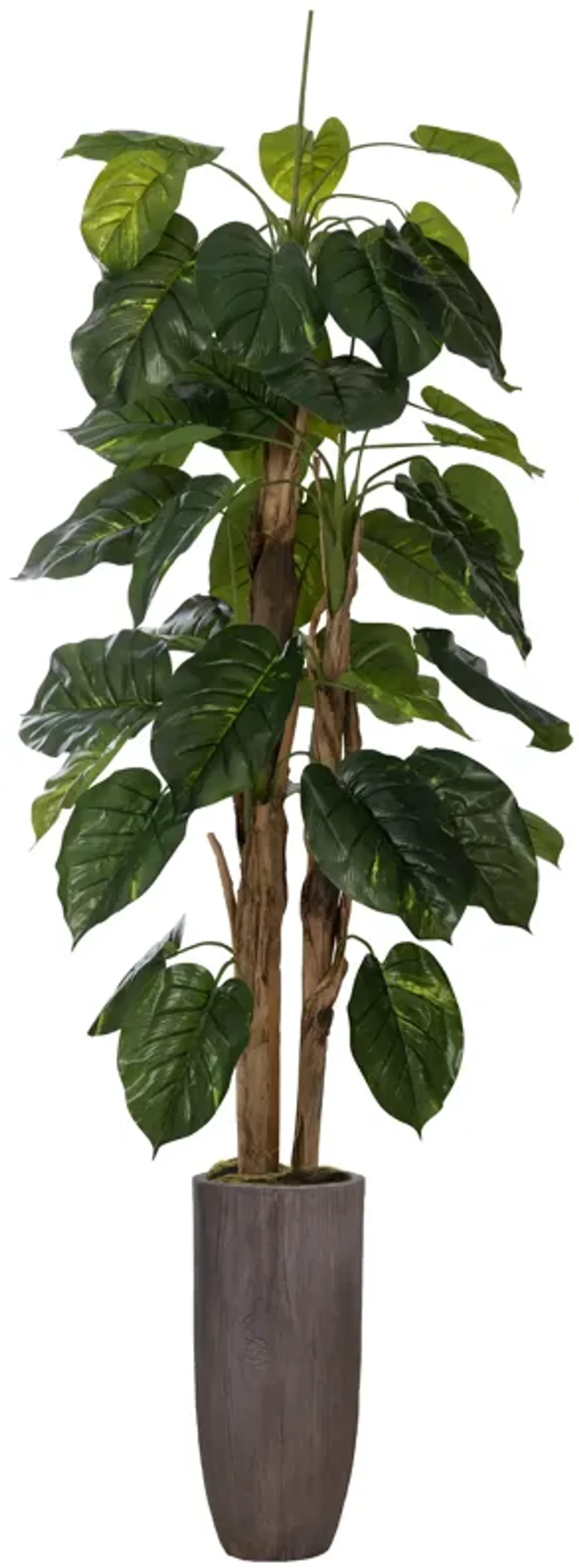 66" Tall Artificial Faux Scindapsus Aureus (Devil’s Ivy) with Eco-Paper Planter