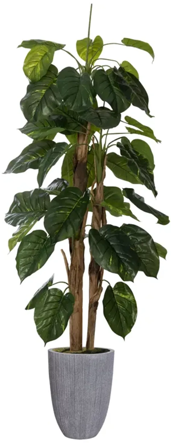 66" Tall Artificial Faux Scindapsus Aureus (Devil’s Ivy) with Eco-Paper Planter