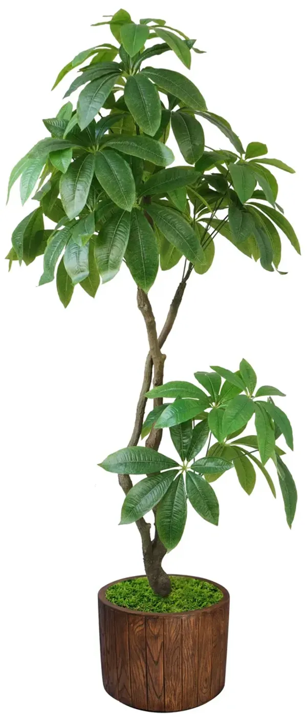 72" Artificial Faux Real Touch Money Tree with Eco Planter